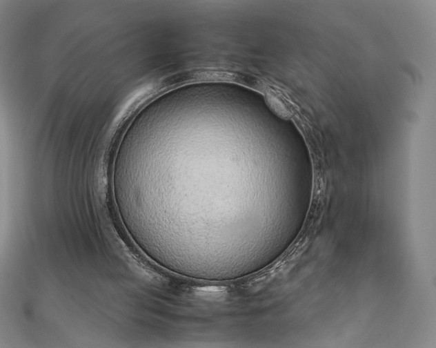 X0000111920053200908031213