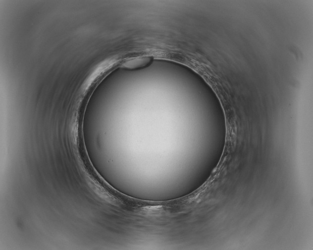 X0000111920054200908031213