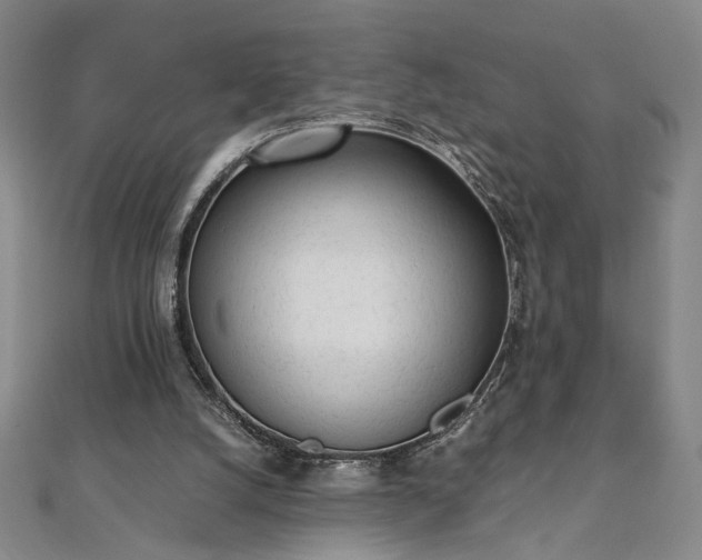 X0000111920056200908031213