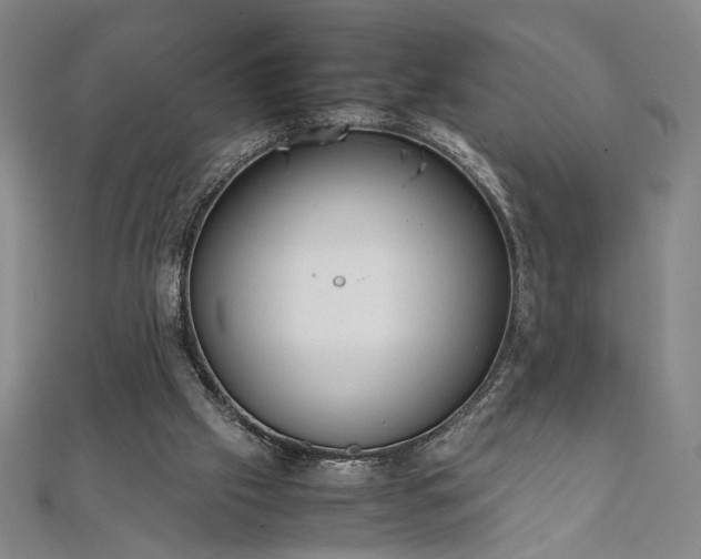 X0000111920057200908031213