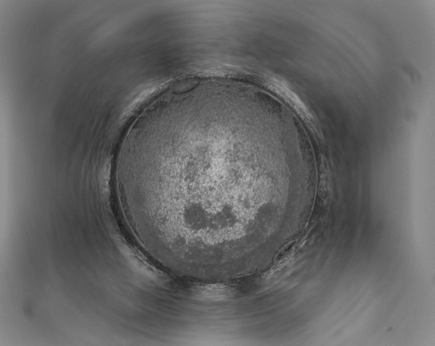 X0000111920058200908031213