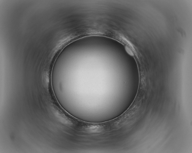 X0000111920059200908031213