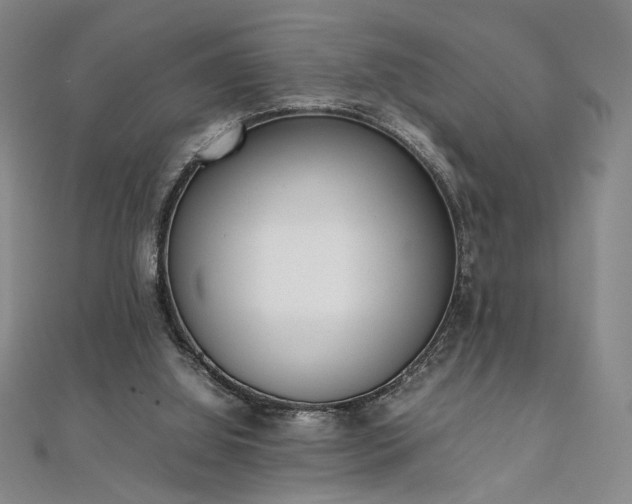 X0000111920060200908031213