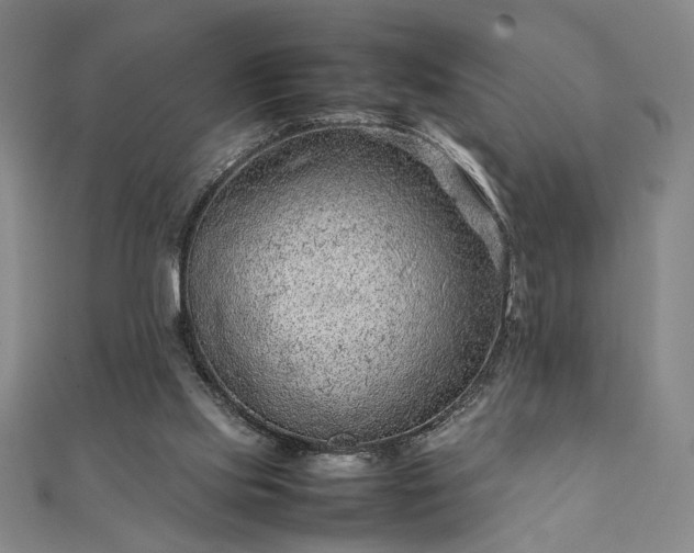 X0000111920061200908031213