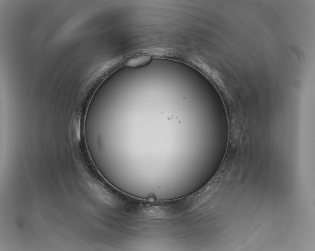 X0000111920062200908031213