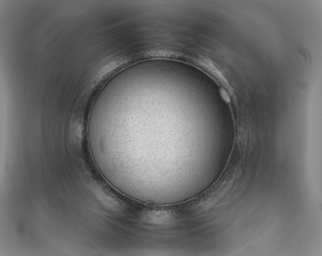 X0000111920063200908031213