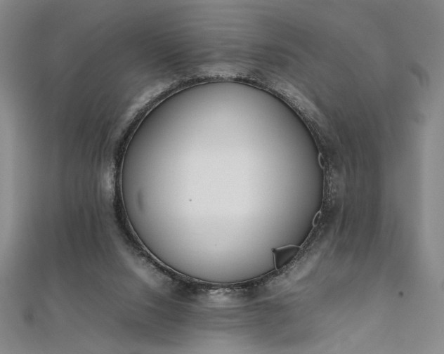 X0000111920064200908031213