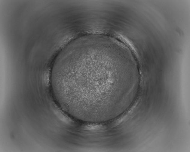 X0000111920065200908031213