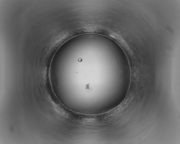 X0000111920066200908031213