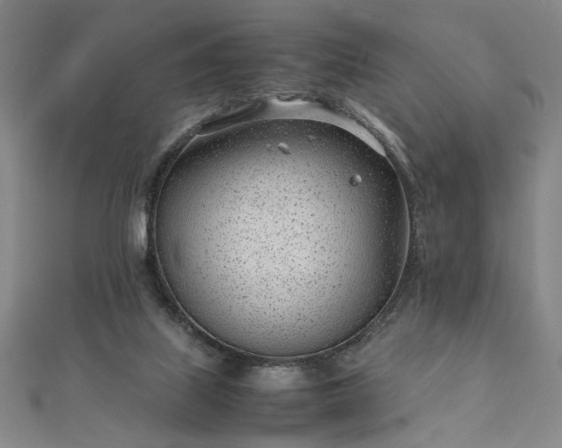 X0000111920067200908031213