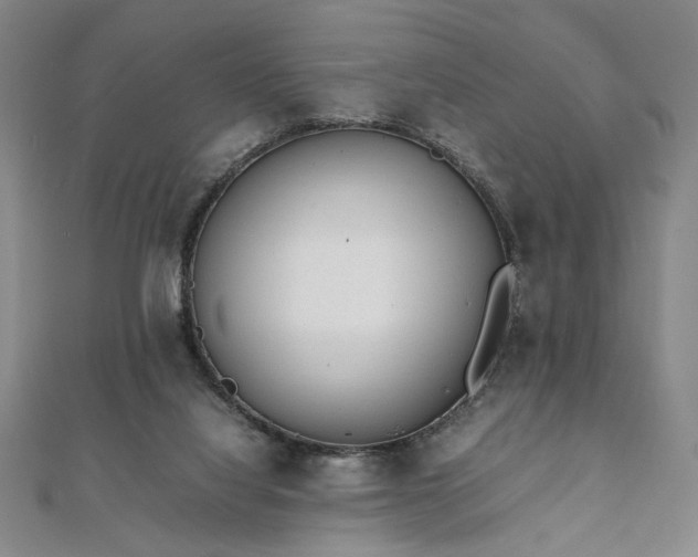 X0000111920068200908031213