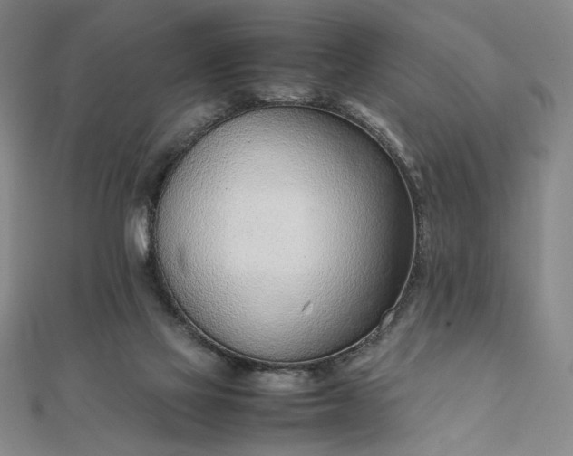 X0000111920069200908031213