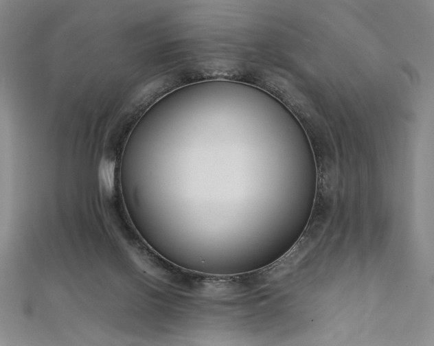 X0000111920070200908031213