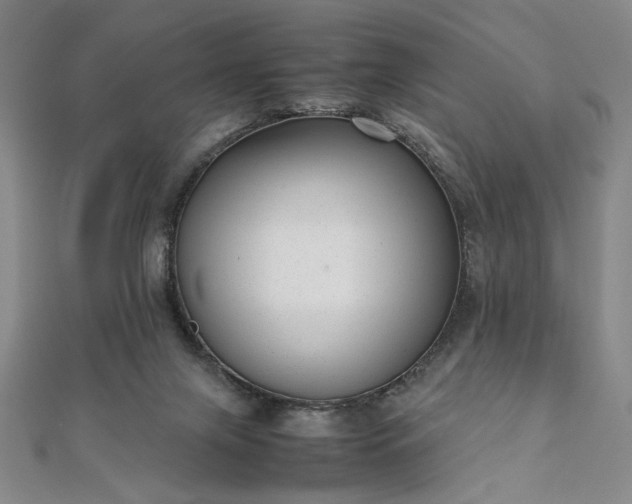 X0000111920071200908031213