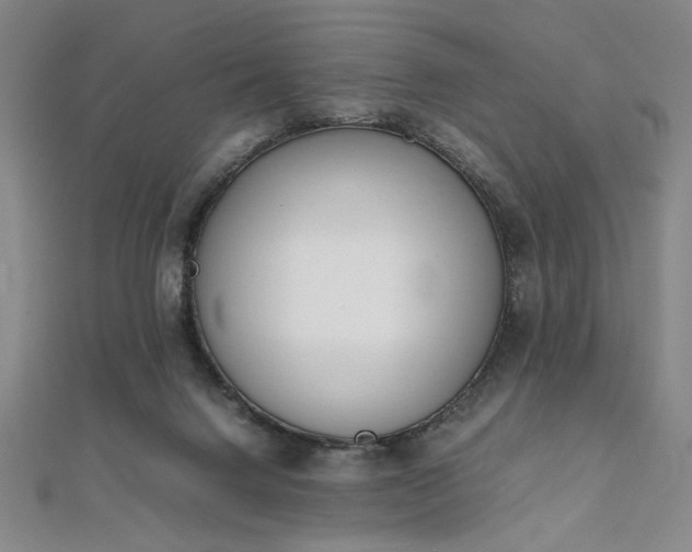 X0000111920072200908031213