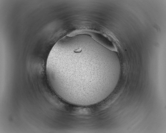 X0000111920073200908031213