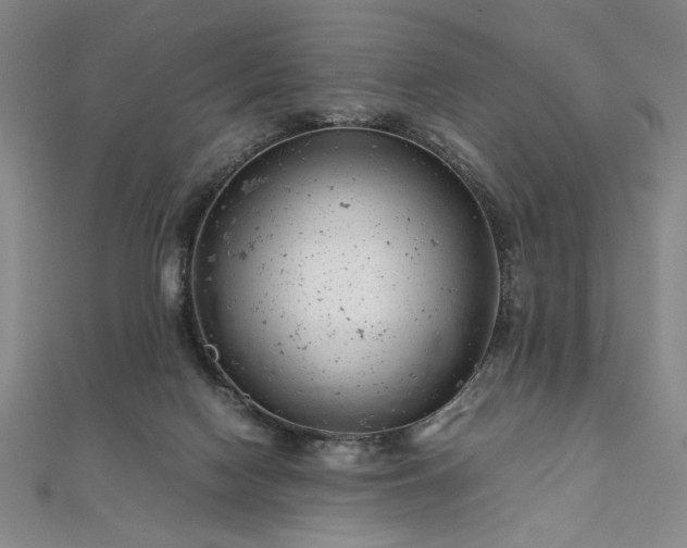 X0000111920074200908031213