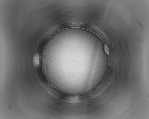 X0000111920075200908031213