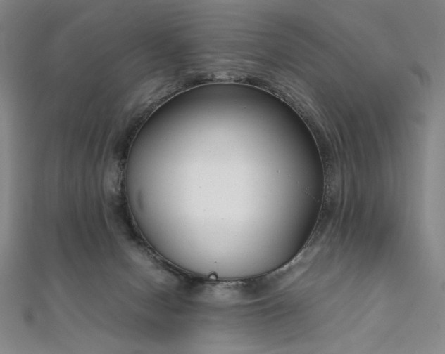 X0000111920078200908031213