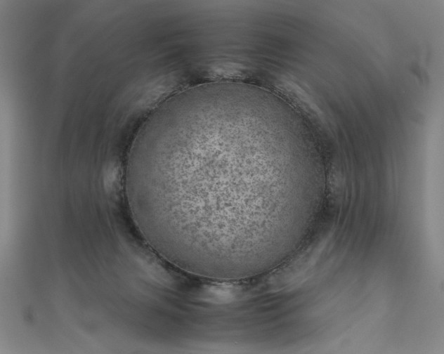 X0000111920079200908031213