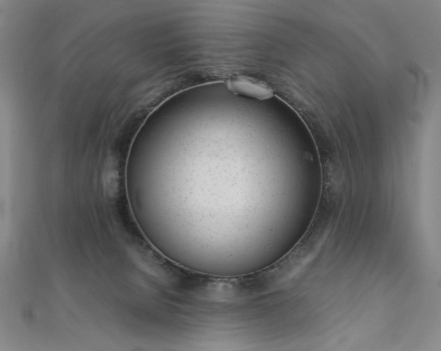 X0000111920080200908031213