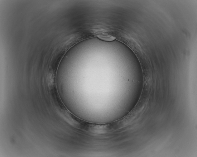 X0000111920081200908031213