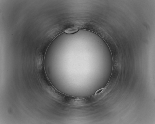 X0000111920082200908031213