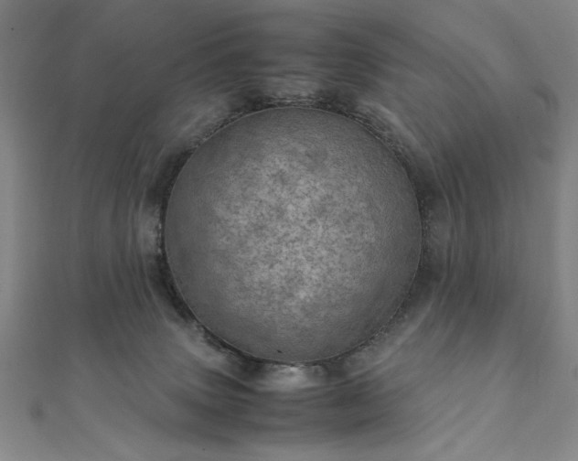 X0000111920083200908031213