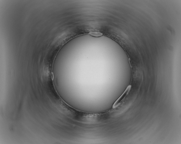 X0000111920084200908031213