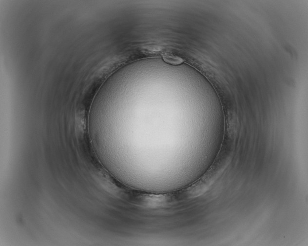 X0000111920085200908031213