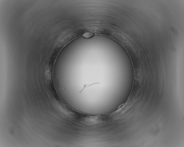 X0000111920086200908031213