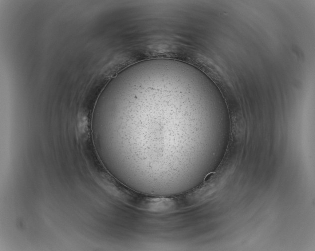 X0000111920087200908031213