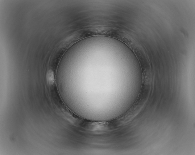 X0000111920089200908031213