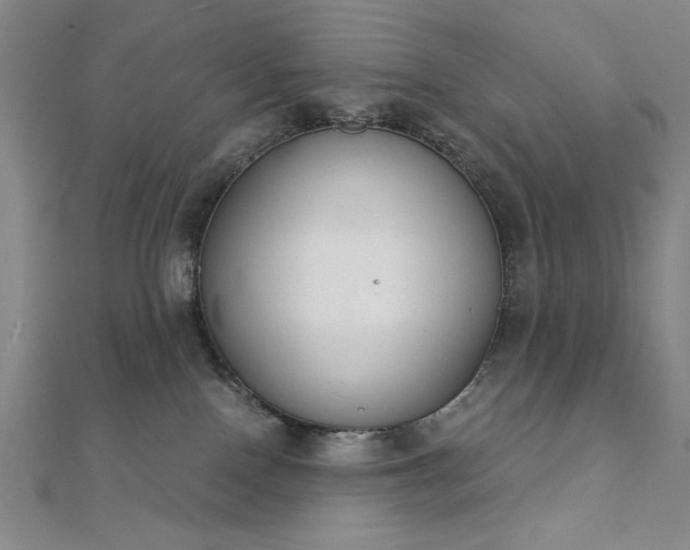 X0000111920090200908031213