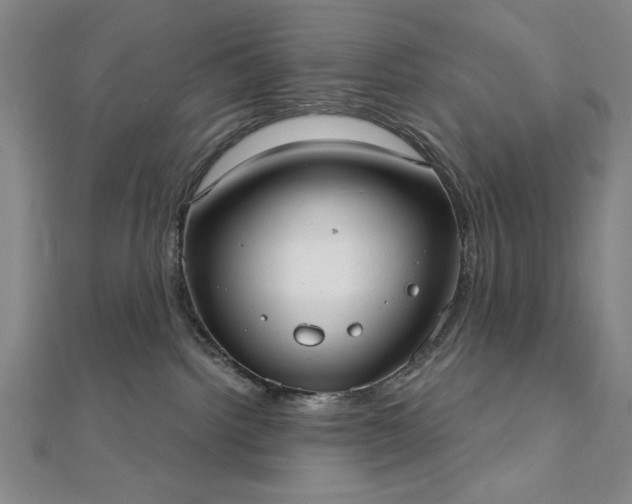 X0000111920092200908031213