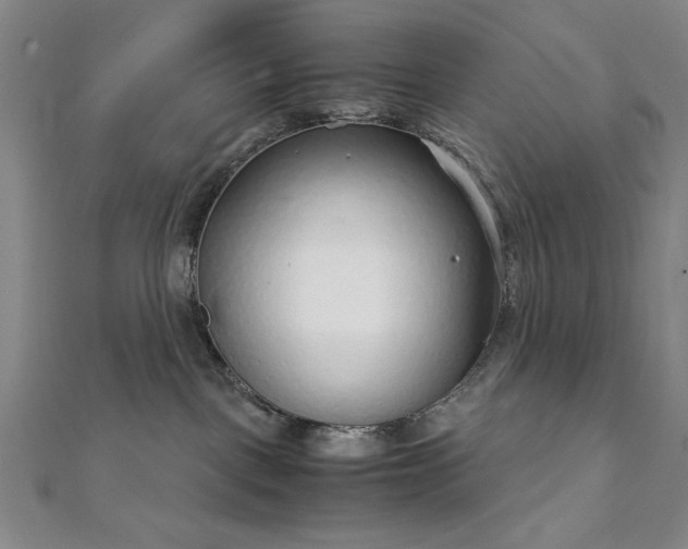 X0000111920093200908031213