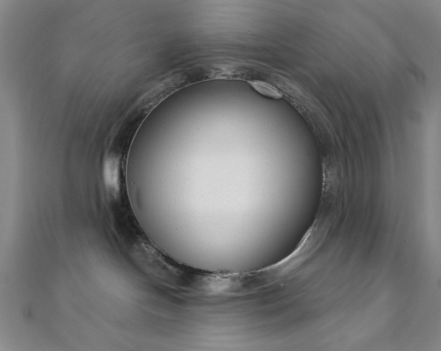 X0000111920094200908031213