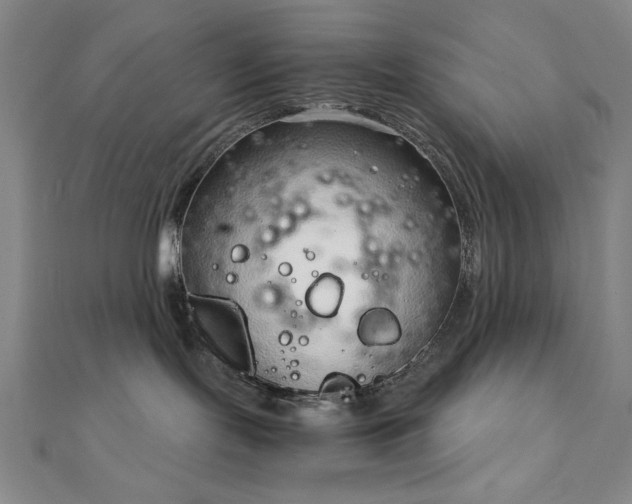 X0000111920095200908031213