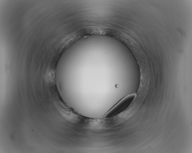 X0000111920096200908031213