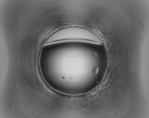 X0000111920097200908031213