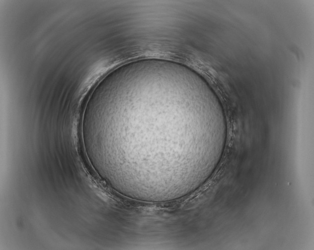 X0000111920098200908031213