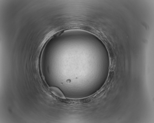 X0000111920099200908031213