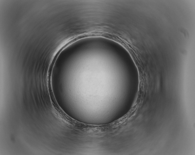 X0000111920100200908031213