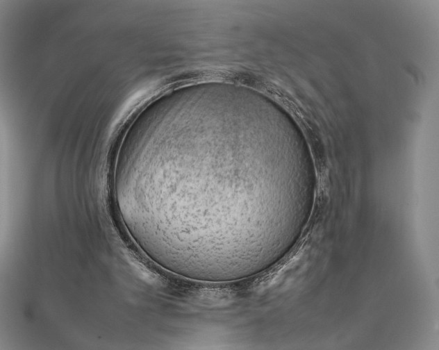 X0000111920101200908031213