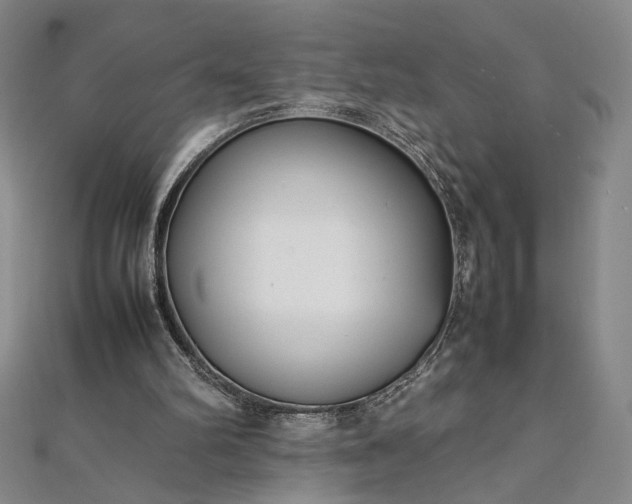 X0000111920102200908031213