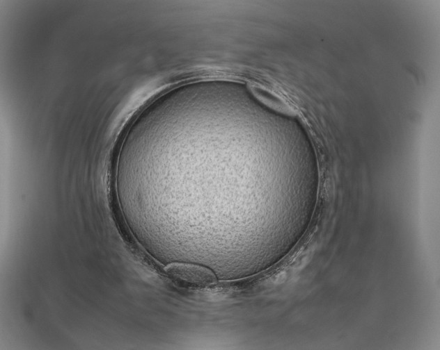 X0000111920103200908031213