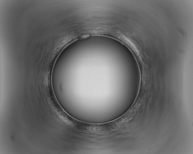 X0000111920105200908031213