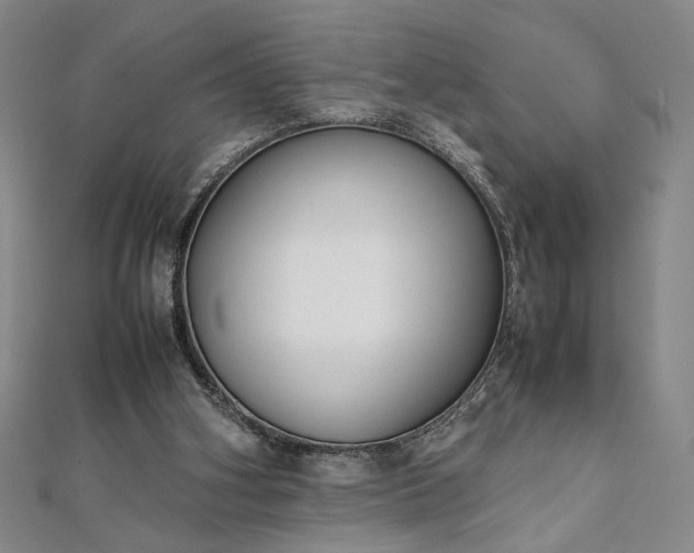 X0000111920106200908031213