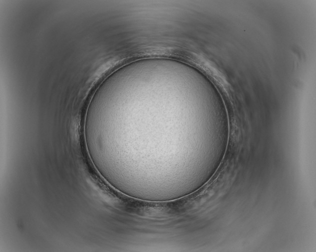 X0000111920107200908031213