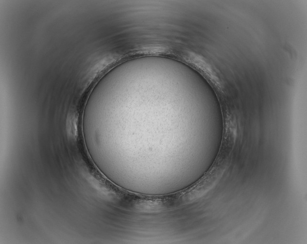 X0000111920110200908031213